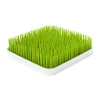 Boon Afdruiprekje Grass Groen