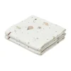 Cam Cam Copenhagen Dreamland Hydrofiel Luiers 2 Stuks